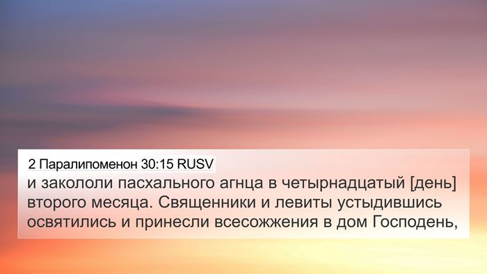 2 Паралипоменон 30:15 RUSV Bible Verse Image