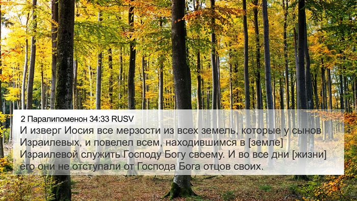 2 Паралипоменон 34:33 RUSV Bible Verse Image