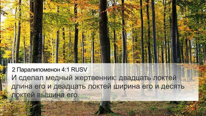 2 Паралипоменон 4:1 RUSV Bible Verse Image