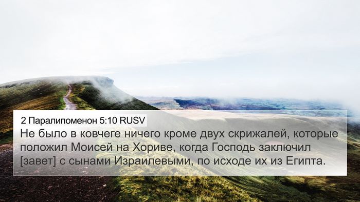 2 Паралипоменон 5:10 RUSV Bible Verse Image