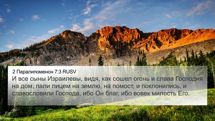 2 Паралипоменон 7:3 RUSV Bible Verse Image