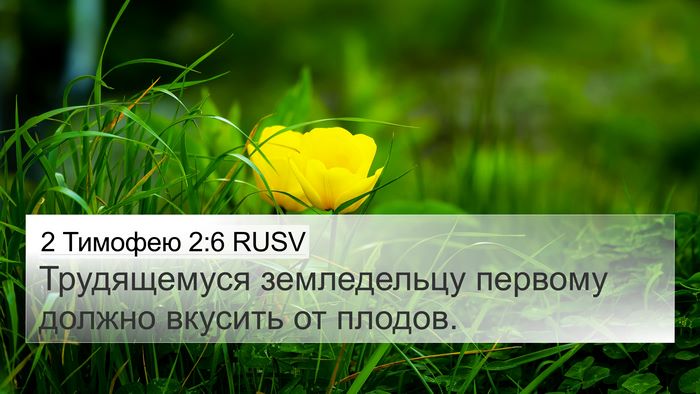 2 Тимофею 2:6 RUSV Bible Verse Image