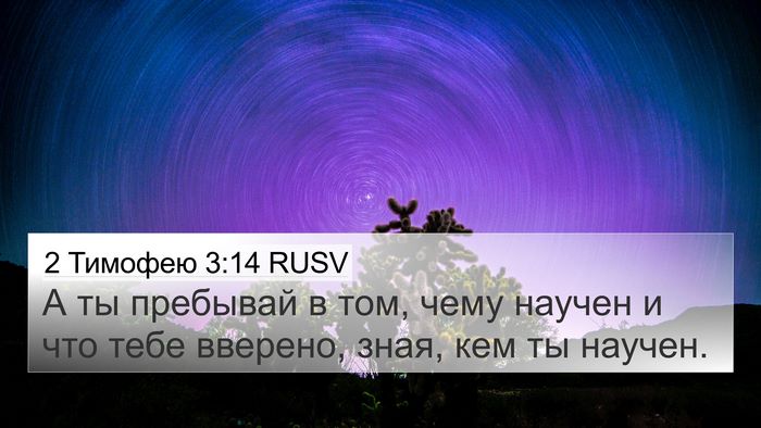 2 Тимофею 3:14 RUSV Bible Verse Image