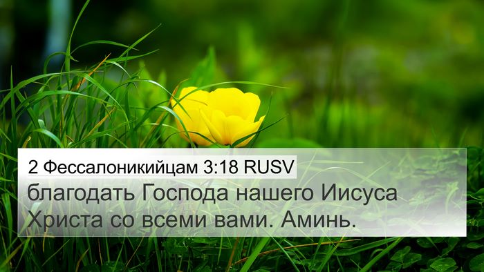 2 Фессалоникийцам 3:18 RUSV 4K Wallpaper - благодать Господа нашего - 4K Wallpaper Bible Verse