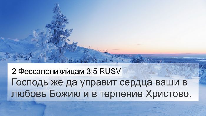 2 Фессалоникийцам 3:5 RUSV Bible Verse Image