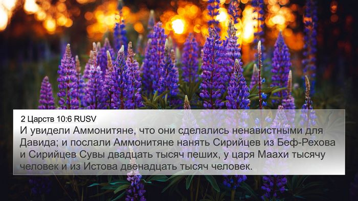 2 Царств 10:6 RUSV Bible Verse Image