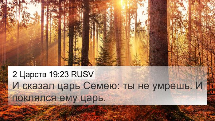 2 Царств 19:23 RUSV 4K Wallpaper - И сказал царь Семею: ты не - 4K Wallpaper Bible Verse