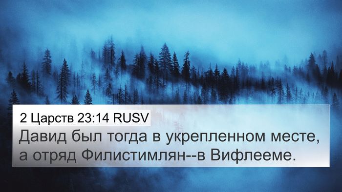 2 Царств 23:14 RUSV Bible Verse Image