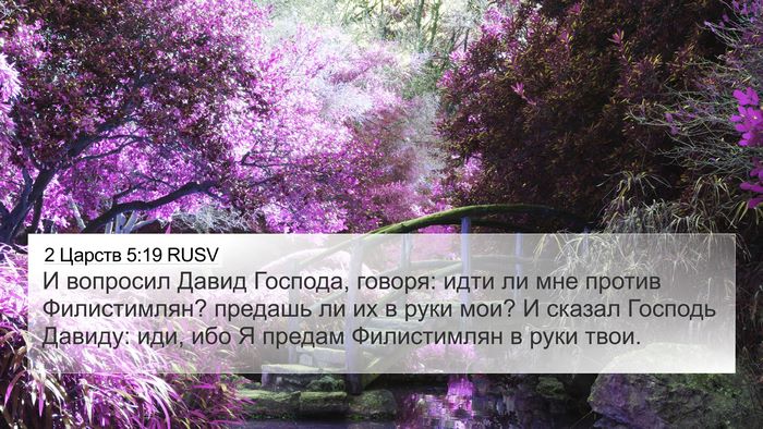 2 Царств 5:19 RUSV Bible Verse Image