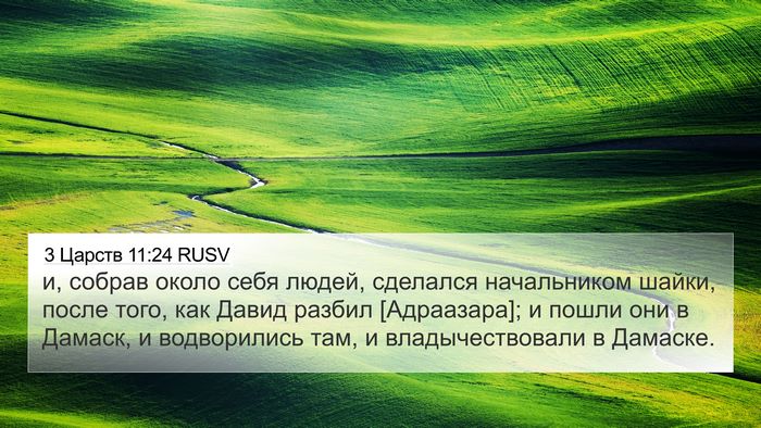 3 Царств 11:24 RUSV Bible Verse Image