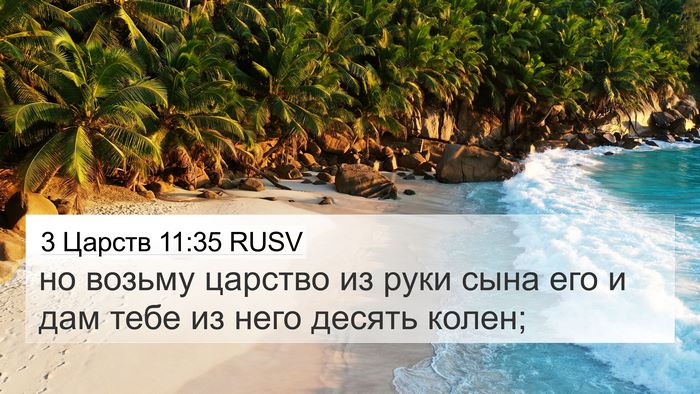 3 Царств 11:35 RUSV 4K Wallpaper - но возьму царство из руки - 4K Wallpaper Bible Verse