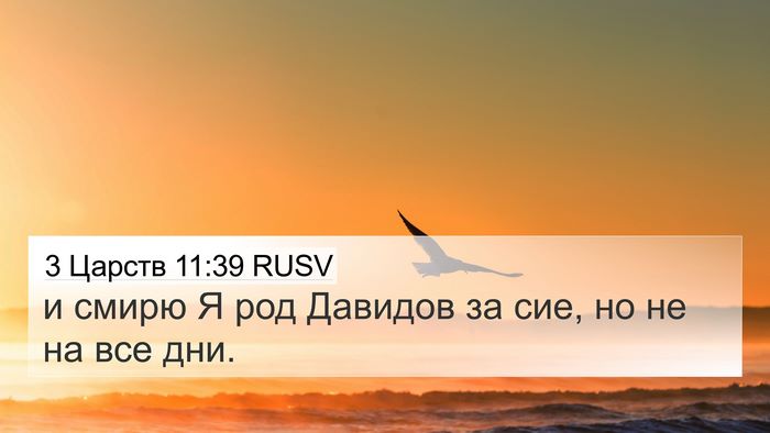 3 Царств 11:39 RUSV 4K Wallpaper - и смирю Я род Давидов за - 4K Wallpaper Bible Verse