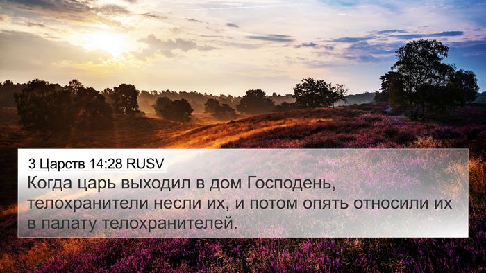 3 Царств 14:28 RUSV 4K Wallpaper - Когда царь выходил в дом - 4K Wallpaper Bible Verse