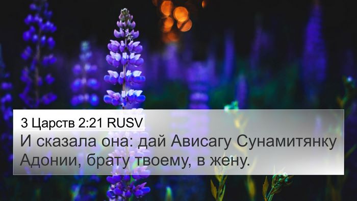 3 Царств 2:21 RUSV Bible Verse Image