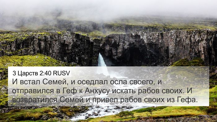 3 Царств 2:40 RUSV 4K Wallpaper - И встал Семей, и оседлал - 4K Wallpaper Bible Verse