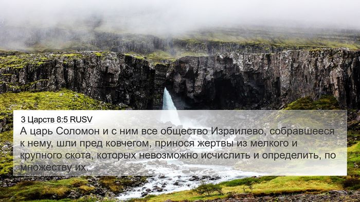 3 Царств 8:5 RUSV Bible Verse Image