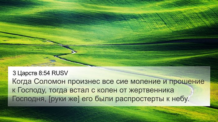 3 Царств 8:54 RUSV Bible Verse Image