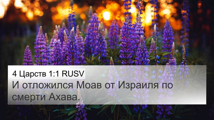 4 Царств 1:1 RUSV Bible Verse Image