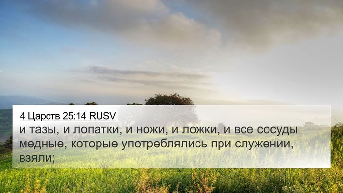 4 Царств 25:14 RUSV Bible Verse Image