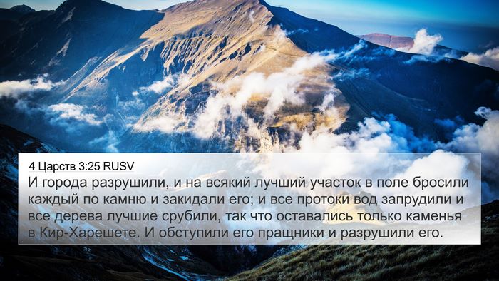 4 Царств 3:25 RUSV Bible Verse Image