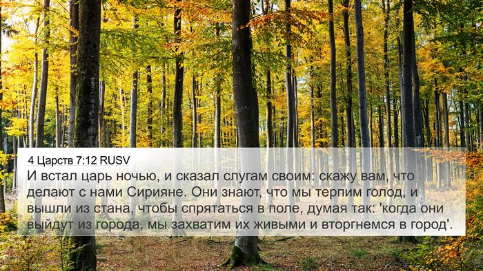 4 Царств 7:12 RUSV 4K Wallpaper - И встал царь ночью, и - 4K Wallpaper Bible Verse