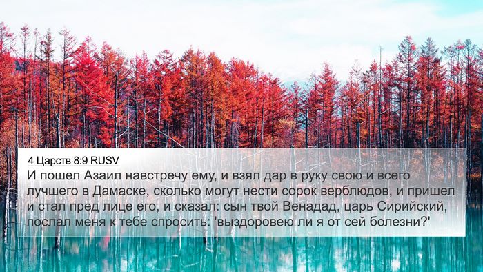 4 Царств 8:9 RUSV 4K Wallpaper - И пошел Азаил навстречу - 4K Wallpaper Bible Verse