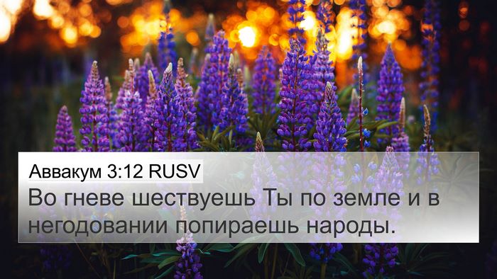 Аввакум 3:12 RUSV 4K Wallpaper - Во гневе шествуешь Ты по - 4K Wallpaper Bible Verse