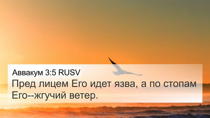 Аввакум 3:5 RUSV Bible Verse Image
