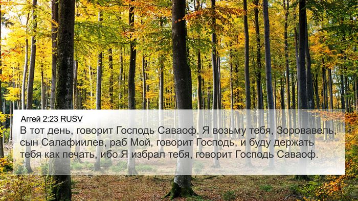 Аггей 2:23 RUSV 4K Wallpaper - В тот день, говорит Господь - 4K Wallpaper Bible Verse