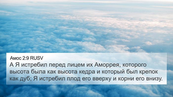 Амос 2:9 RUSV Bible Verse Image