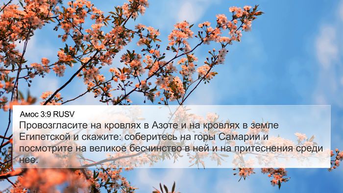 Амос 3:9 RUSV Bible Verse Image