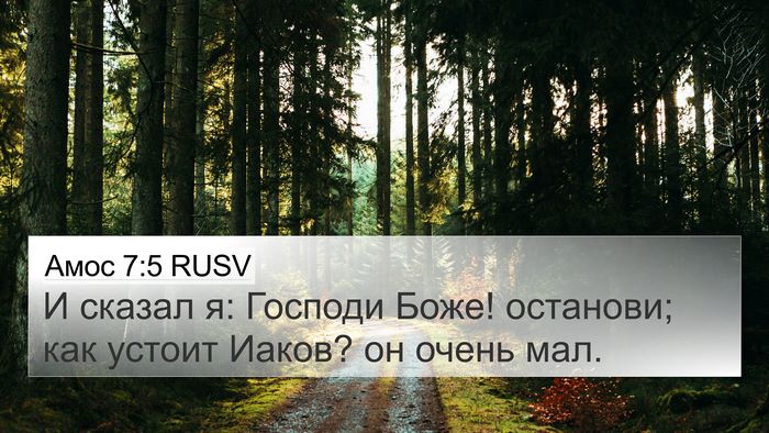 Амос 7:5 RUSV Bible Verse Image