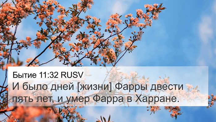 Бытие 11:32 RUSV Bible Verse Image