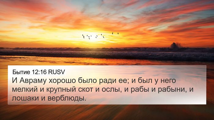 Бытие 12:16 RUSV Bible Verse Image