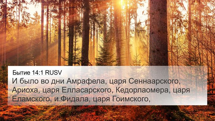 Бытие 14:1 RUSV Bible Verse Image
