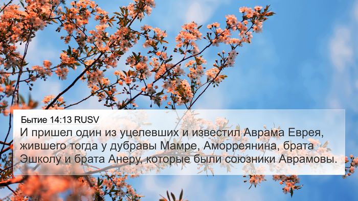 Бытие 14:13 RUSV 4K Wallpaper - И пришел один из уцелевших - 4K Wallpaper Bible Verse