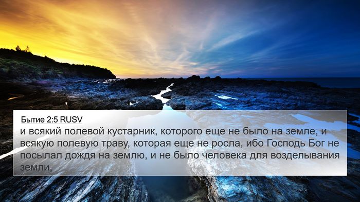 Бытие 2:5 RUSV Bible Verse Image