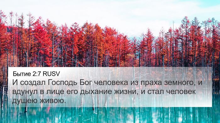 Бытие 2:7 RUSV Bible Verse Image