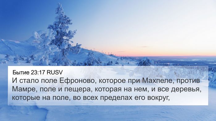 Бытие 23:17 RUSV Bible Verse Image