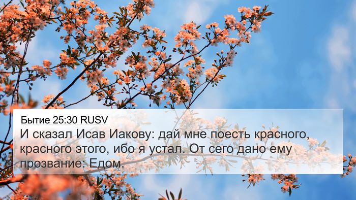 Бытие 25:30 RUSV Bible Verse Image