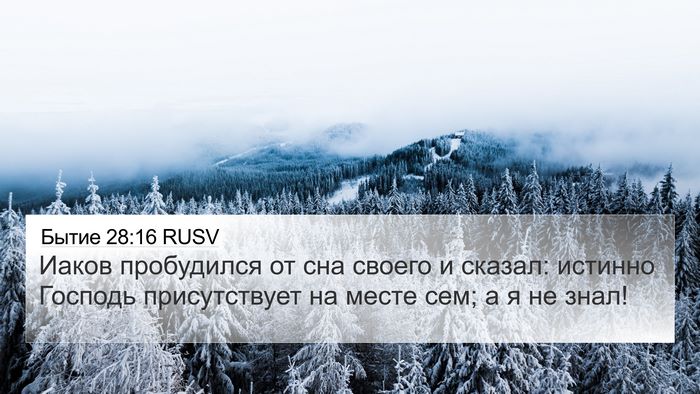 Бытие 28:16 RUSV Bible Verse Image