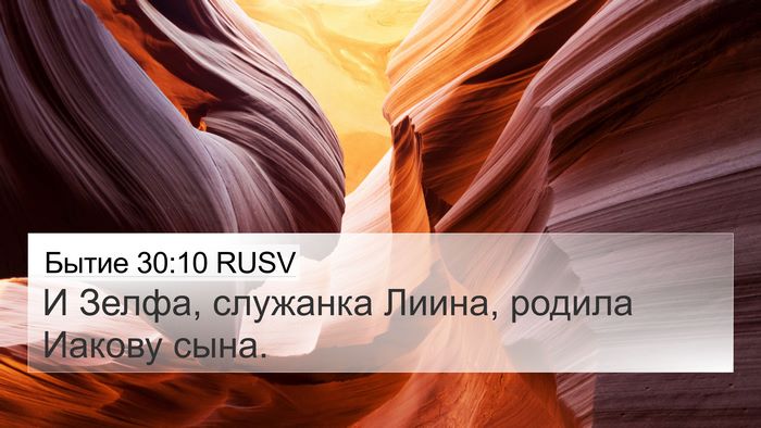 Бытие 30:10 RUSV Bible Verse Image