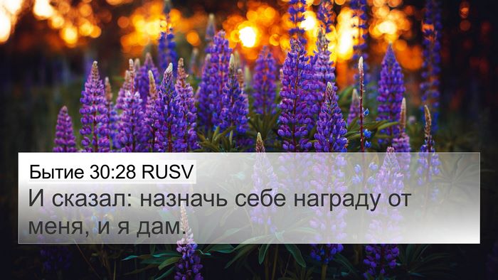 Бытие 30:28 RUSV Bible Verse Image