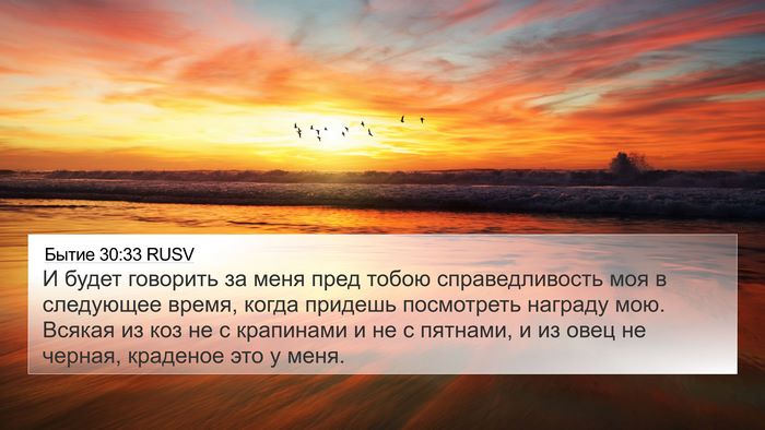 Бытие 30:33 RUSV Bible Verse Image