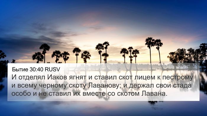 Бытие 30:40 RUSV 4K Wallpaper - И отделял Иаков ягнят и - 4K Wallpaper Bible Verse