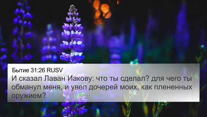 Бытие 31:26 RUSV Bible Verse Image