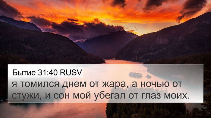 Бытие 31:40 RUSV Bible Verse Image