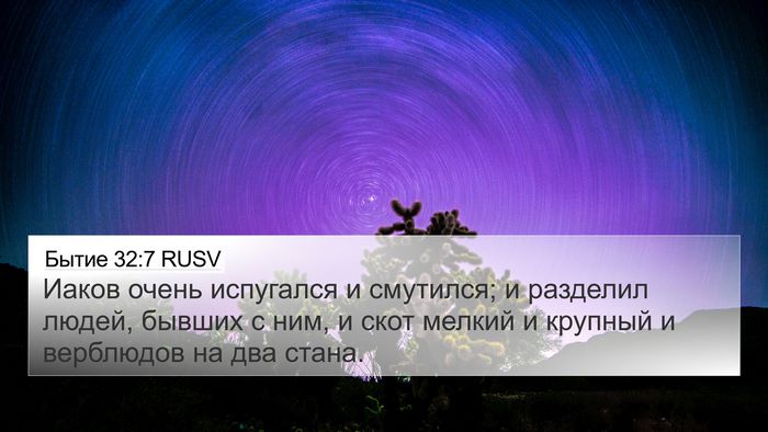 Бытие 32:7 RUSV Bible Verse Image