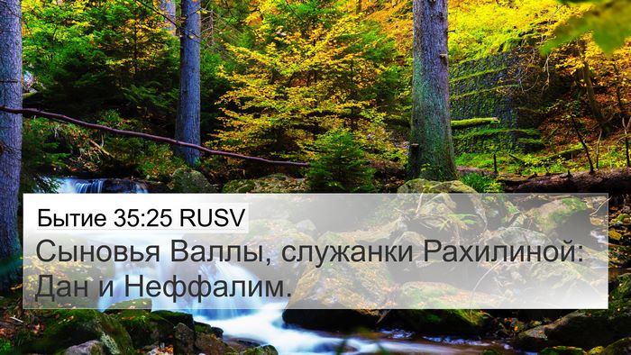 Бытие 35:25 RUSV Bible Verse Image