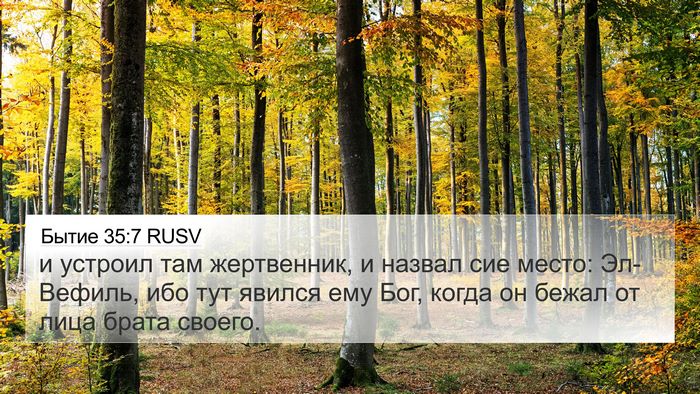 Бытие 35:7 RUSV Bible Verse Image